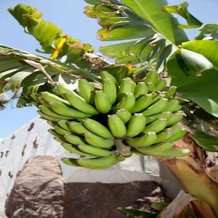Playa Blanca Sleeps 8 Pool Wifi * Playa Blanca (Lanzarote)